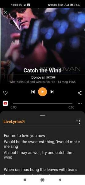 Screenshot_2022-07-24-13-00-29-886_com.melodis.midomiMusicIdentifier.freemium.jpg