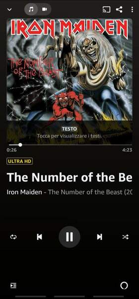 Screenshot_20220815-200348_Amazon Music.jpg