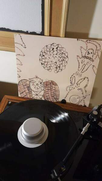 Devendra Banhart.jpg