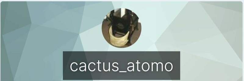 Screenshot_20220906-132058_Samsung Internet.jpg