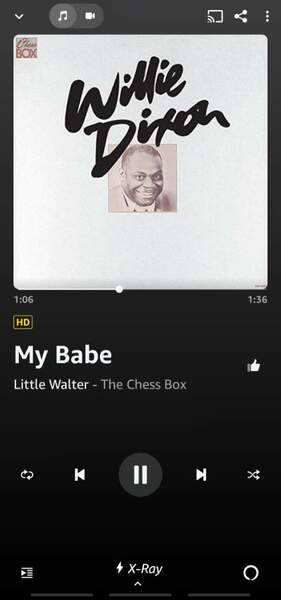 Screenshot_20221002-224447_Amazon Music.jpg