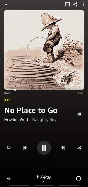 Screenshot_20221013-230652_Amazon Music.jpg