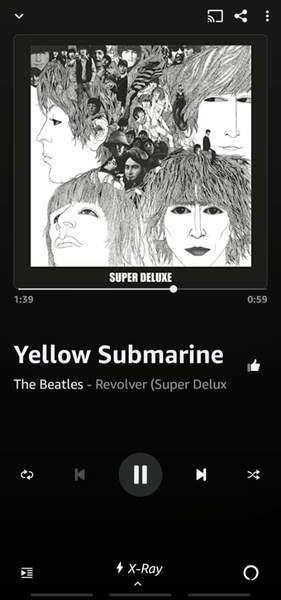 Screenshot_20221028-145707_Amazon Music.jpg