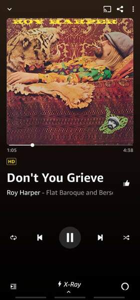 Screenshot_20221012-223434_Amazon Music.jpg