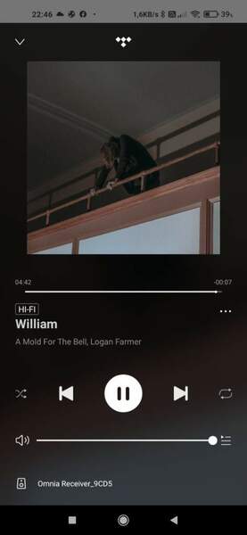 Screenshot_2022-10-29-22-46-14-329_com.wifiaudio.omnia.jpg