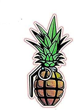ananas_.jpg.693984efd3c4b8e0beb4680c8145328f.jpg