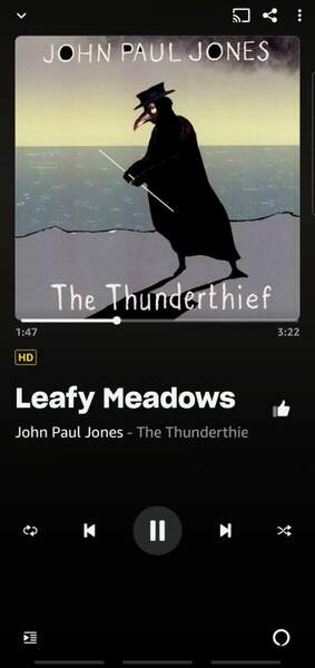 Screenshot_20221108-222132_Amazon Music.jpg