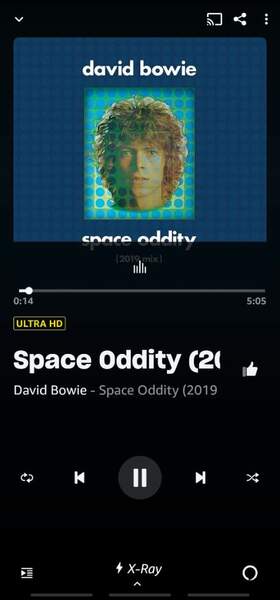 Screenshot_20221109-230519_Amazon Music.jpg