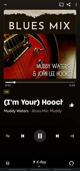 Screenshot_20230105_225857_Amazon Music.jpg