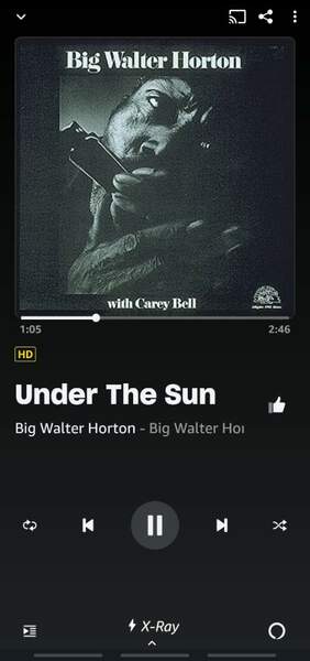 Screenshot_20230207_233820_Amazon Music.jpg