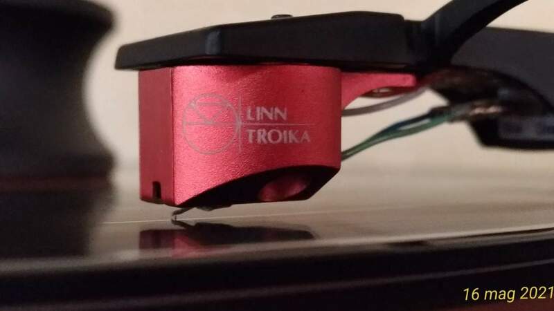 Testina Linn Troika 2.jpg