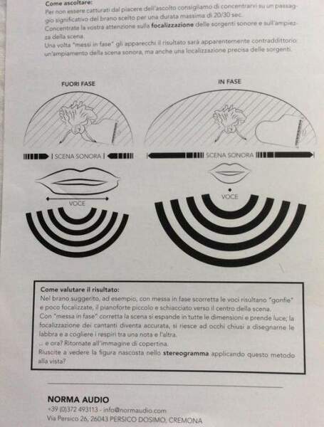 Messa in fase elettrica Norma.jpeg