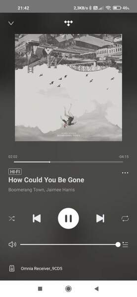 Screenshot_2023-02-25-21-42-05-132_com.wifiaudio.omnia.jpg
