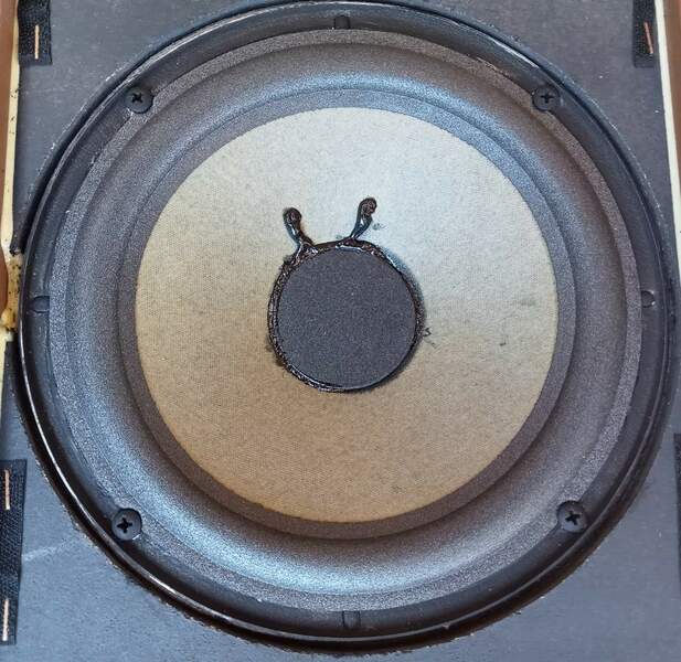 wooferAR71.thumb.jpg.4f04654997f36a7bbec65ec0f49c9b27.jpg