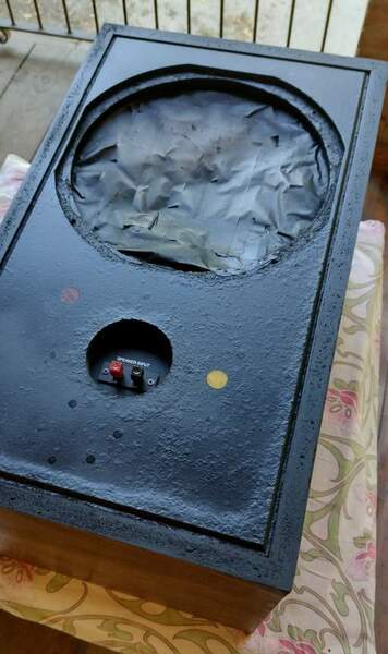 ESS AMT 1b_vernice post.jpg