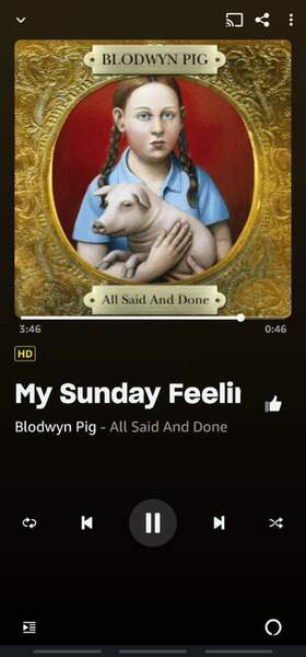 Screenshot_20230321_223558_Amazon Music.jpg