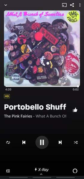 Screenshot_20230401_163522_Amazon Music.jpg