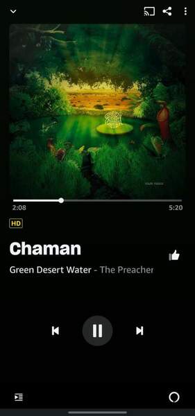 Screenshot_20230421_231339_Amazon Music.jpg
