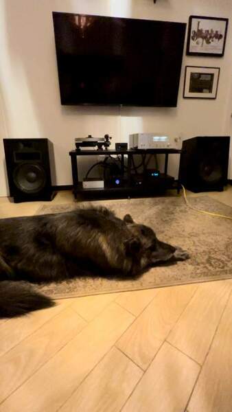 Vai all'album Persone.jpg