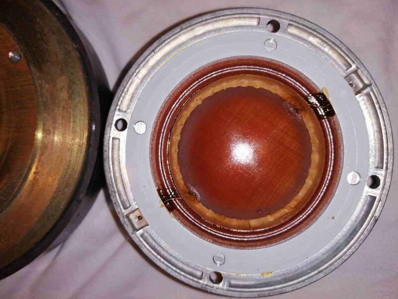 Driver Prevost 7.jpg