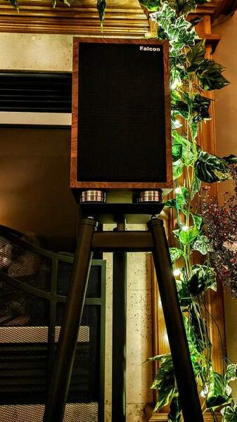 Gold Badge Eric Eagleson su Solidsteel SS6.jpg