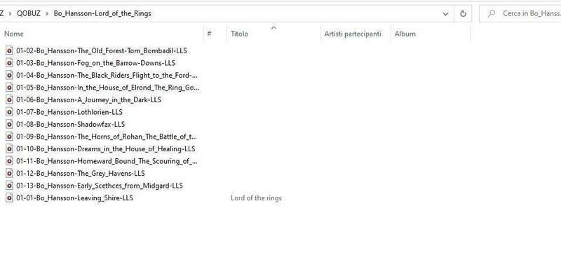 Immagine 2023-06-13 185055_4.jpg