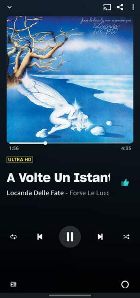 Screenshot_20230606_231147_Amazon Music.jpg