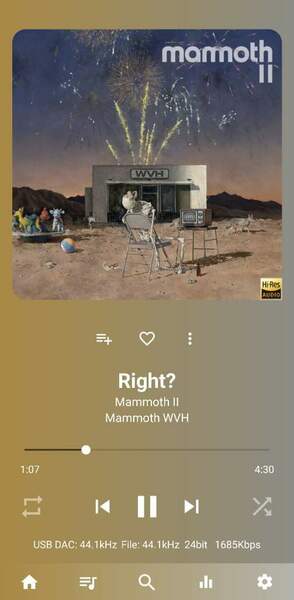 Screenshot_20230807_222942_USB Audio Player PRO.jpg