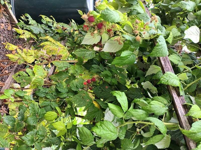 20231020_135524 (FILEminimizer).jpg