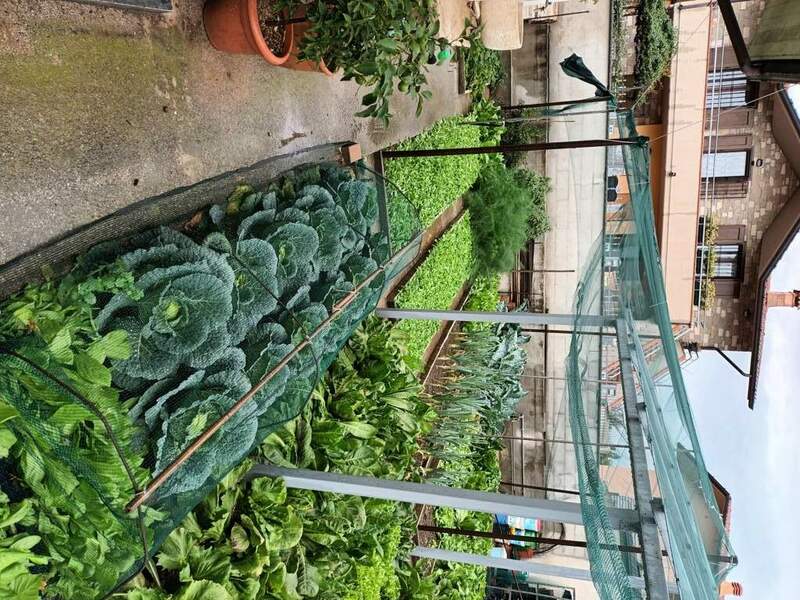 20231020_135600 (FILEminimizer).jpg