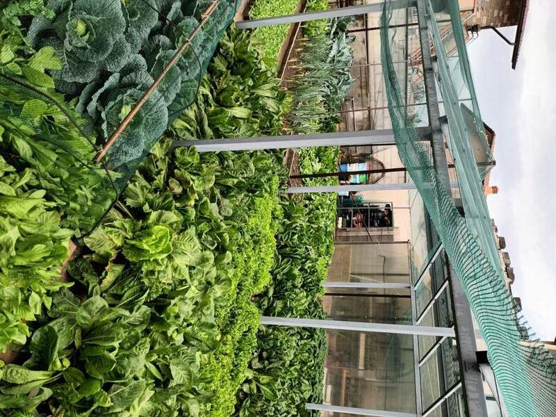 20231020_135605 (FILEminimizer).jpg