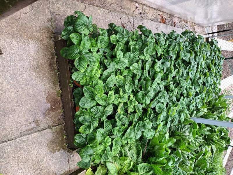 20231020_135652 (FILEminimizer).jpg