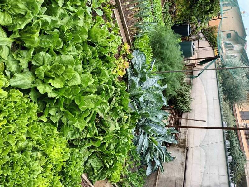 20231020_135700 (FILEminimizer).jpg