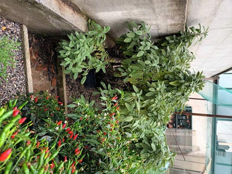 20231020_135731 (FILEminimizer).jpg