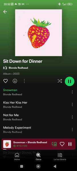 Screenshot_2023-10-06-20-52-00-565_com.spotify.music.jpg