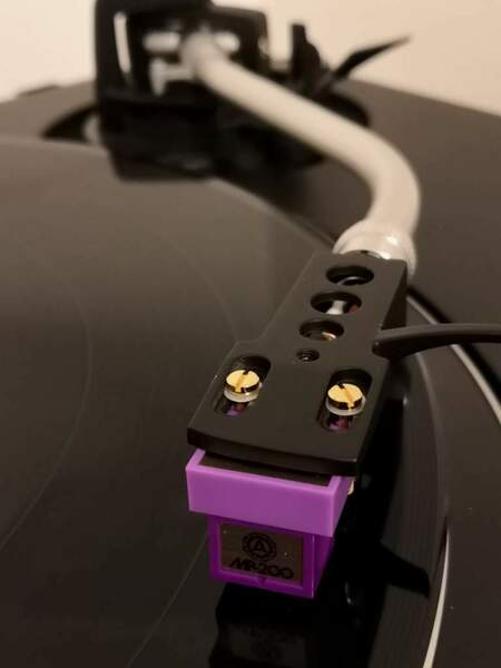 IMG_20231115_181444 rid.jpg