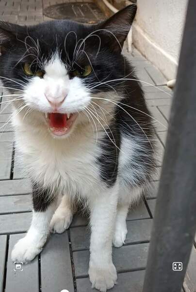 Screenshot_20231117_160343_Video Player.jpg