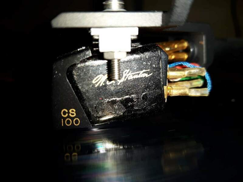 Testina Stanton WOS 100 2.jpg