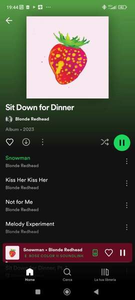 Screenshot_2023-12-26-19-44-37-224_com.spotify.music.jpg