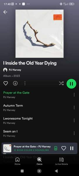 Screenshot_2023-12-30-17-40-15-760_com.spotify.music.jpg