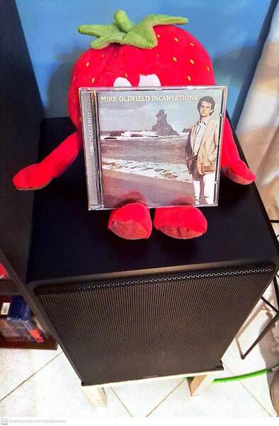 CamScanner 20-01-2024 17.52.jpg