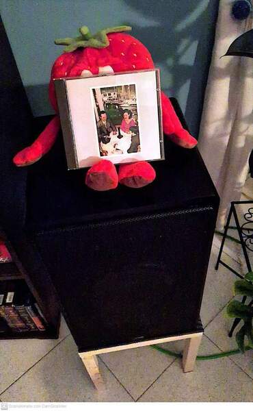 CamScanner 20-01-2024 19.06.jpg