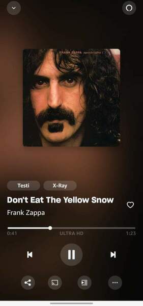 Screenshot_20240119_192537_Amazon Music.jpg