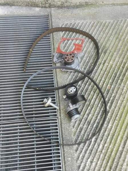 Cinghia distribuzione Anna.jpg