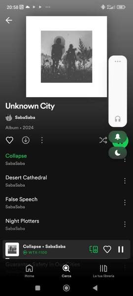 Screenshot_2024-03-02-20-58-41-568_com.spotify.music.jpg