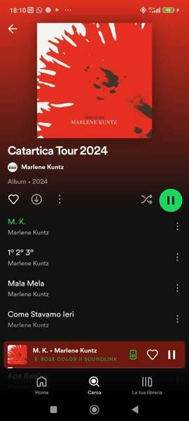 Screenshot_2024-03-30-18-10-17-920_com.spotify.music.jpg