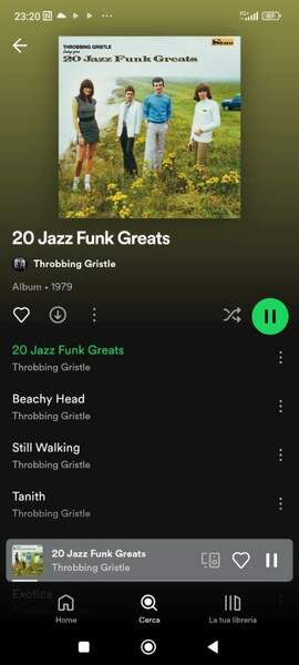 Screenshot_2024-03-30-23-20-14-060_com.spotify.music.jpg