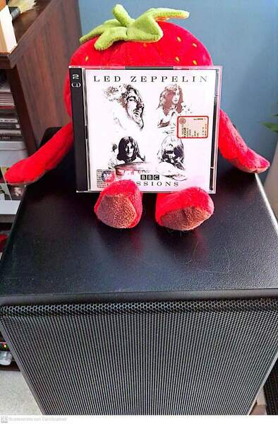 CamScanner 07-04-2024 13.25.jpg