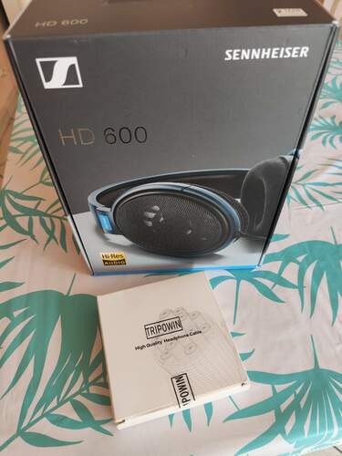 Maggiori informazioni su "Sennheiser hd 600"
