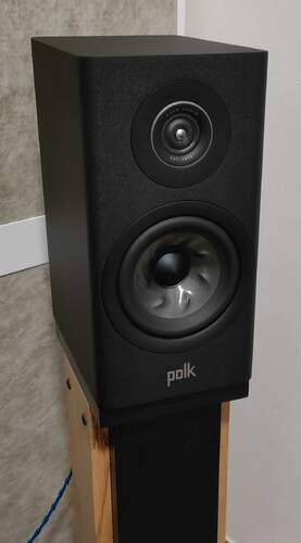 Maggiori informazioni su "Diffusori Polk Audio Reserve R100"